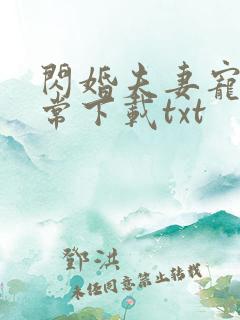 闪婚夫妻宠娃日常下载txt