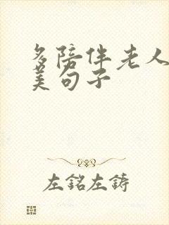 多陪伴老人的唯美句子