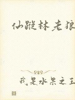 仙踪林老狼视频