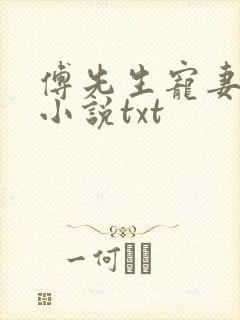 傅先生宠妻无度小说txt