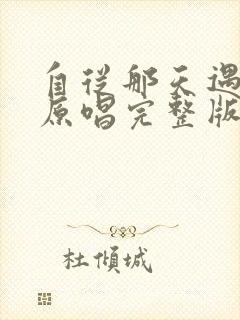 自从那天遇见你原唱完整版