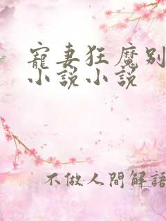 宠妻狂魔别太坏小说小说