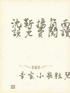 沈靳扬简南栀小说免费阅读最新章节