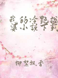 我的冷艳总裁老婆小说下载