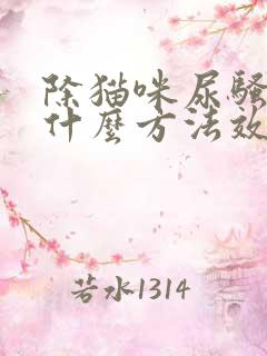 除猫咪尿骚味用什么方法效果好?