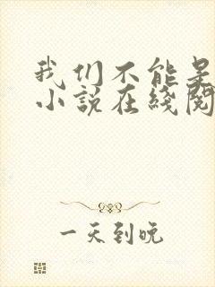 我们不能是朋友小说在线阅读