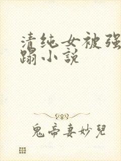 清纯女被强行糟蹋小说