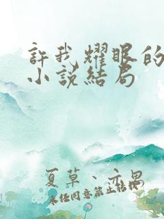 许我耀眼的原著小说结局