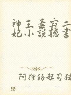 神王毒宠二嫁王妃小说听书