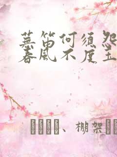 芜笛何须怨杨柳春风不度玉门关 是什么意思