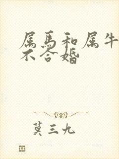 属马和属牛的合不合婚