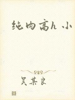 纯肉高h 小说
