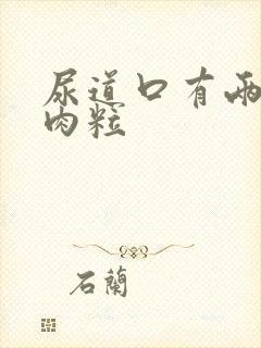 尿道口有两个小肉粒