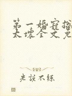 第一婚宠总裁别太坏全文免费阅读