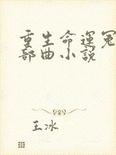 重生命运冤家三部曲小说