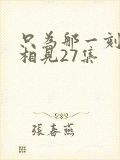 只为那一刻与你相见27集