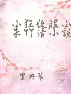 小狂收服小舞,朱竹清小说免费阅读