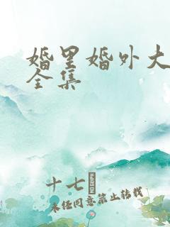 婚里婚外大结局全集