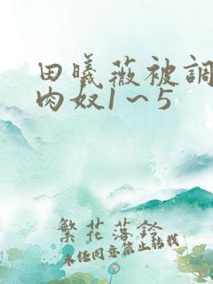 田曦薇被调教成肉奴1~5