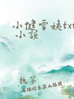 小健雪姨txt 小说