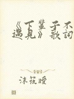 《下辈子不一定遇见》歌词