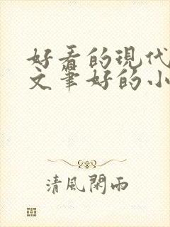 好看的现代言情文笔好的小说