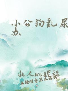 小公狗乱尿怎么办