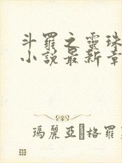 斗罗之灵珠神剑小说最新章节下载