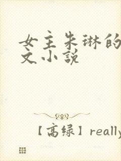 女主朱琳的年代文小说