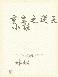 重生之逆天改命 小说