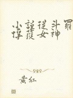 小说从斗罗开始俘获女神