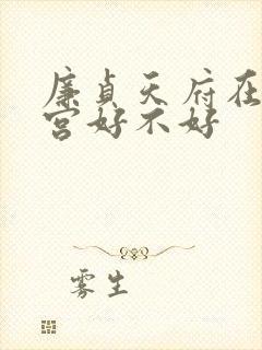 廉贞天府在夫妻宫好不好