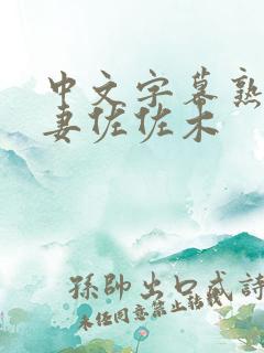 中文字幕熟女人妻佐佐木