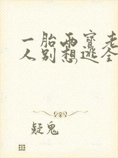 一胎两宝老婆大人别想逃全文免费阅读