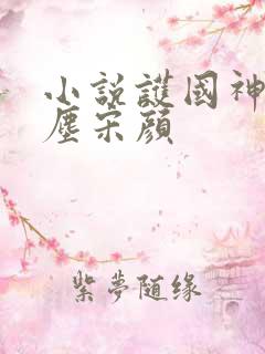 小说护国神婿楚尘宋颜