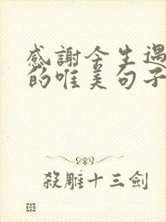 感谢今生遇见你的唯美句子