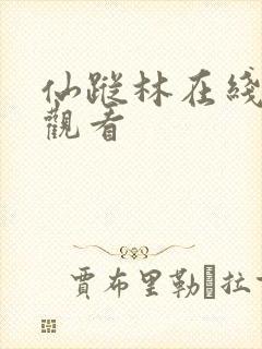 仙踪林在线免费观看