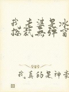 我老婆是冰山女总裁无弹窗免费