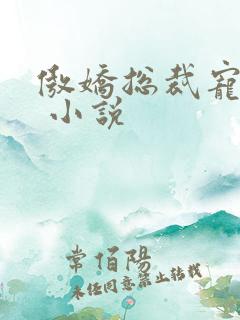 傲娇总裁宠上瘾 小说