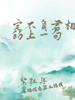 定不负君相思意的上一句