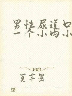 男性尿道口长了一个小肉小米粒