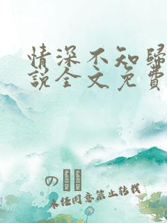 情深不知归处小说全文免费阅读