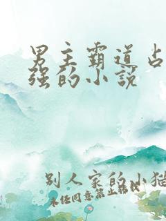 男主霸道占有欲强的小说