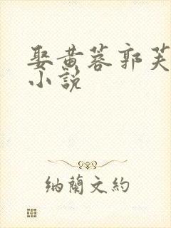 娶黄蓉郭芙后宫小说