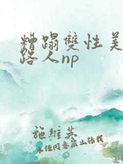 糟蹋双性美人多路人np