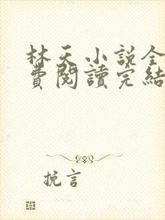 林天小说全文免费阅读完结篇
