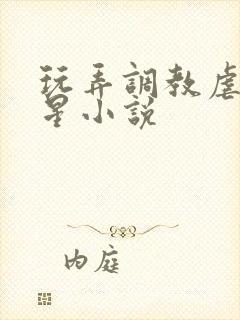 玩弄调教虐女明星小说