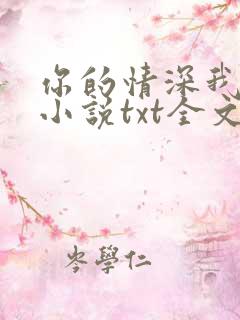 你的情深我不配小说txt全文下载