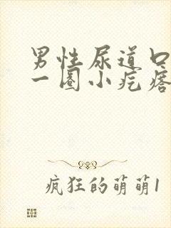 男性尿道口长了一圈小疙瘩