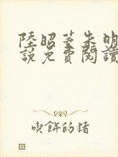 陆昭菱朱明浩小说免费阅读完整版